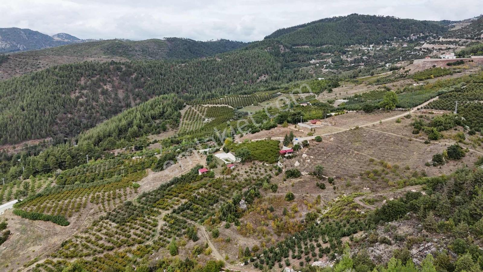 Toroslar Yeniköy Yaylasında 5.487 M2 Kıymetli Arazi — fotoğraf 8