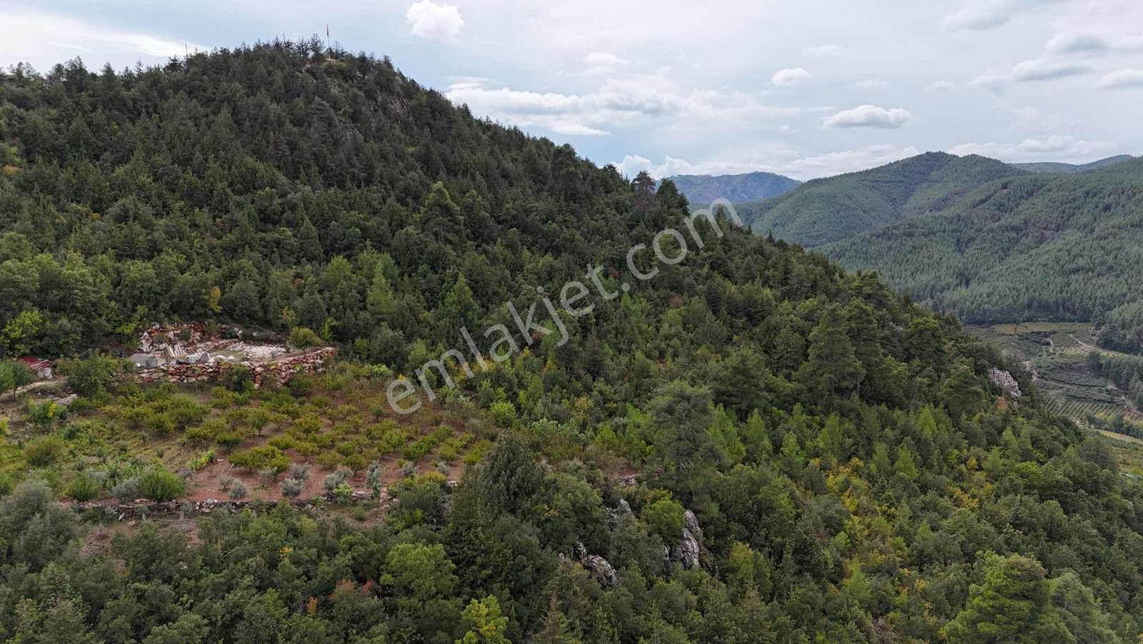 Toroslar Yeniköy Yaylasında 5.487 M2 Kıymetli Arazi — fotoğraf 9