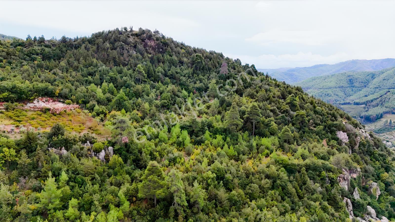 Toroslar Yeniköy Yaylasında 5.487 M2 Kıymetli Arazi — fotoğraf 11