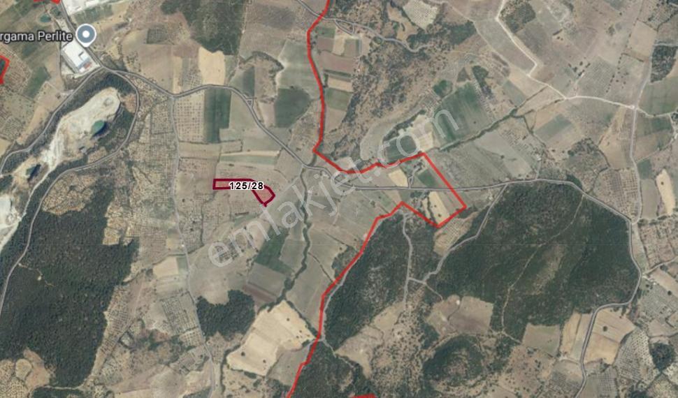 Bergama Çalıbahçe'de Satılık 10500 M2 Sulak Zeytinli Tarla — fotoğraf 7