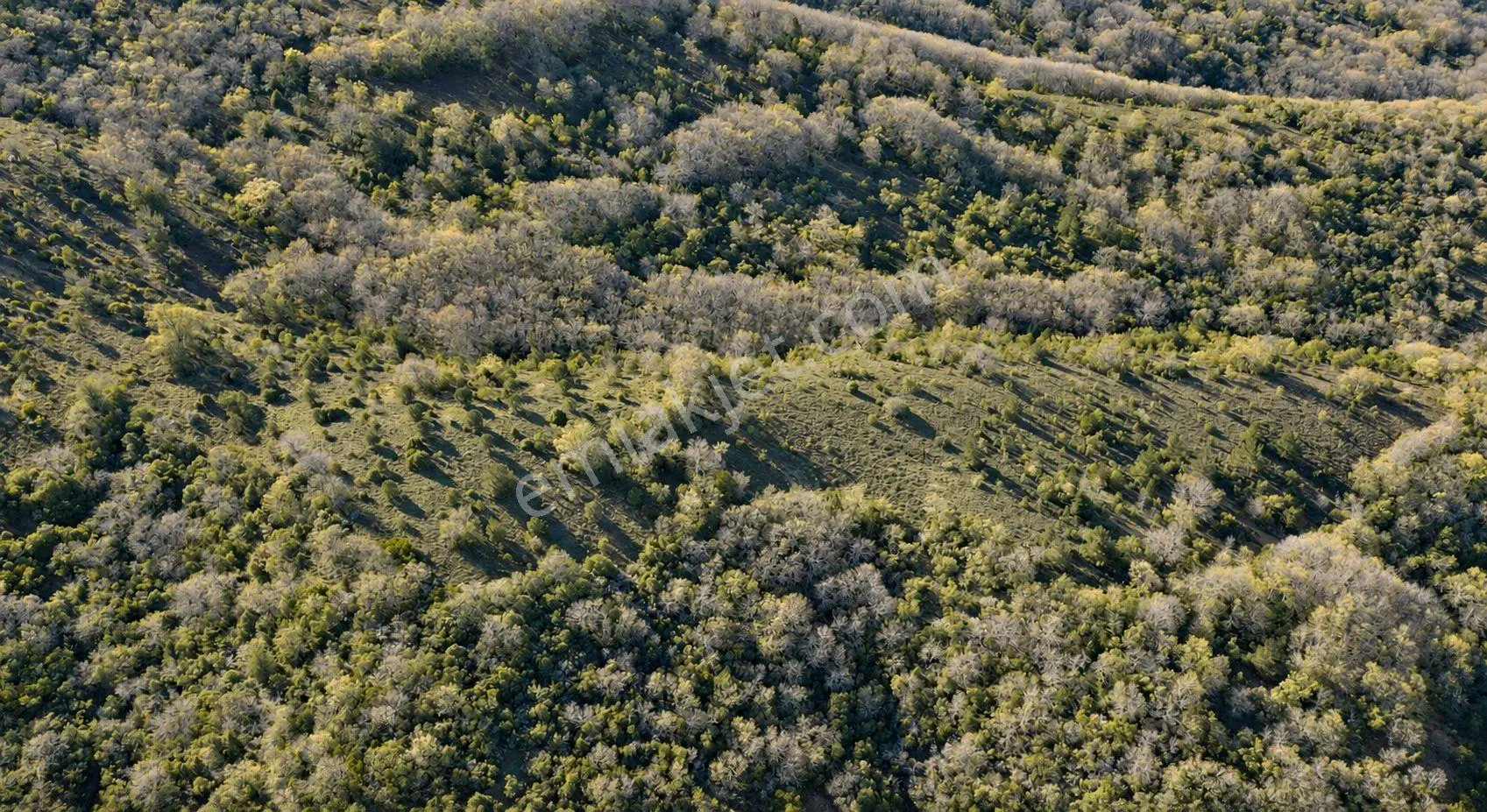 18.816 M2 Satılık Tarla Keşif Arazi. Balaıeksir Balya Çukurcak 103 Ada 27 Parselde. Orman İçinde, Dü — fotoğraf 2