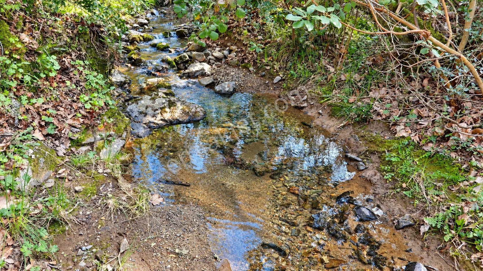 18.816 M2 Satılık Tarla Keşif Arazi. Balaıeksir Balya Çukurcak 103 Ada 27 Parselde. Orman İçinde, Dü — fotoğraf 4