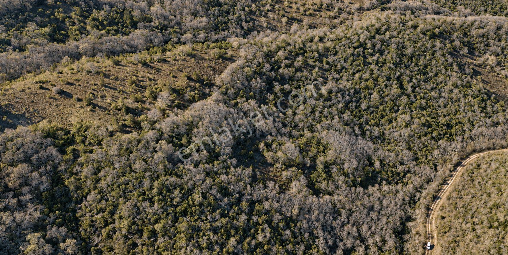 18.816 M2 Satılık Tarla Keşif Arazi. Balaıeksir Balya Çukurcak 103 Ada 27 Parselde. Orman İçinde, Dü — fotoğraf 7