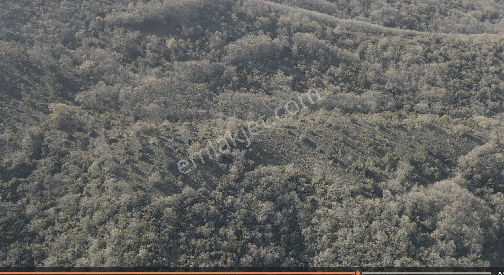 18.816 M2 Satılık Tarla Keşif Arazi. Balaıeksir Balya Çukurcak 103 Ada 27 Parselde. Orman İçinde, Dü — fotoğraf 8