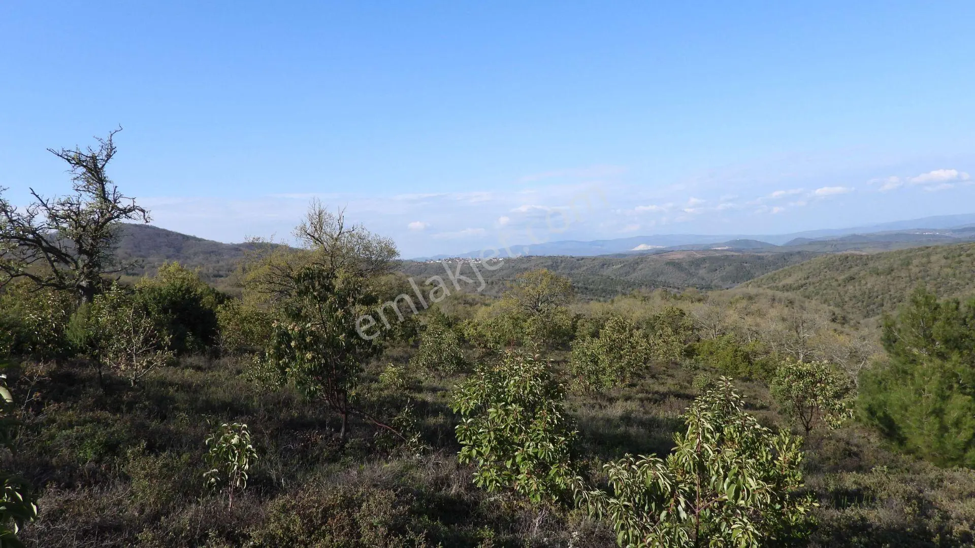 18.816 M2 Satılık Tarla Keşif Arazi. Balaıeksir Balya Çukurcak 103 Ada 27 Parselde. Orman İçinde, Dü — fotoğraf 15