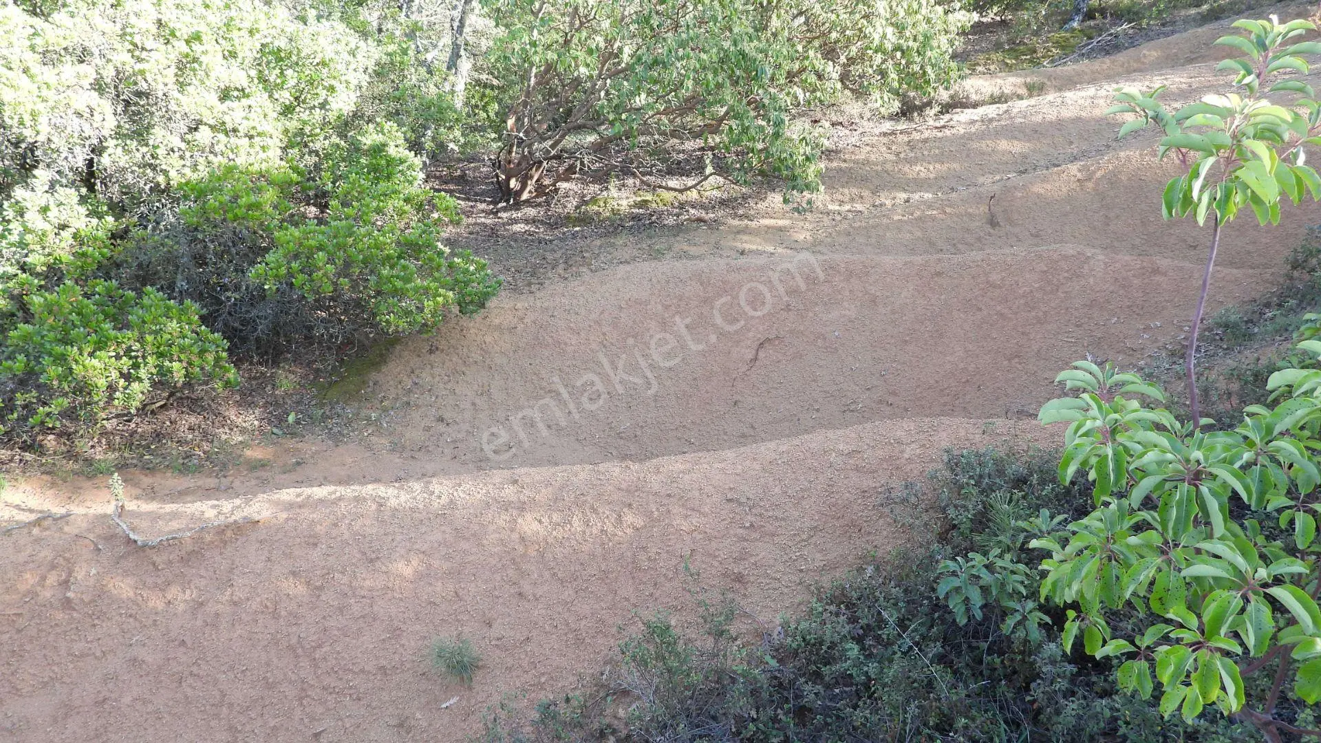 18.816 M2 Satılık Tarla Keşif Arazi. Balaıeksir Balya Çukurcak 103 Ada 27 Parselde. Orman İçinde, Dü — fotoğraf 20