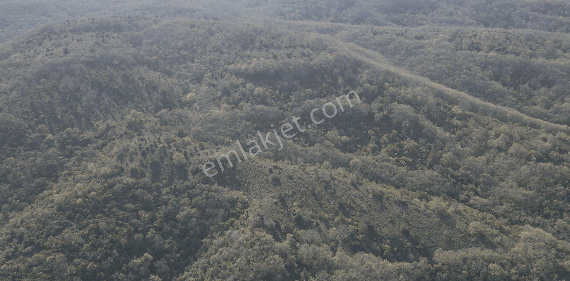 18.816 M2 Satılık Tarla Keşif Arazi. Balaıeksir Balya Çukurcak 103 Ada 27 Parselde. Orman İçinde, Dü — fotoğraf 22
