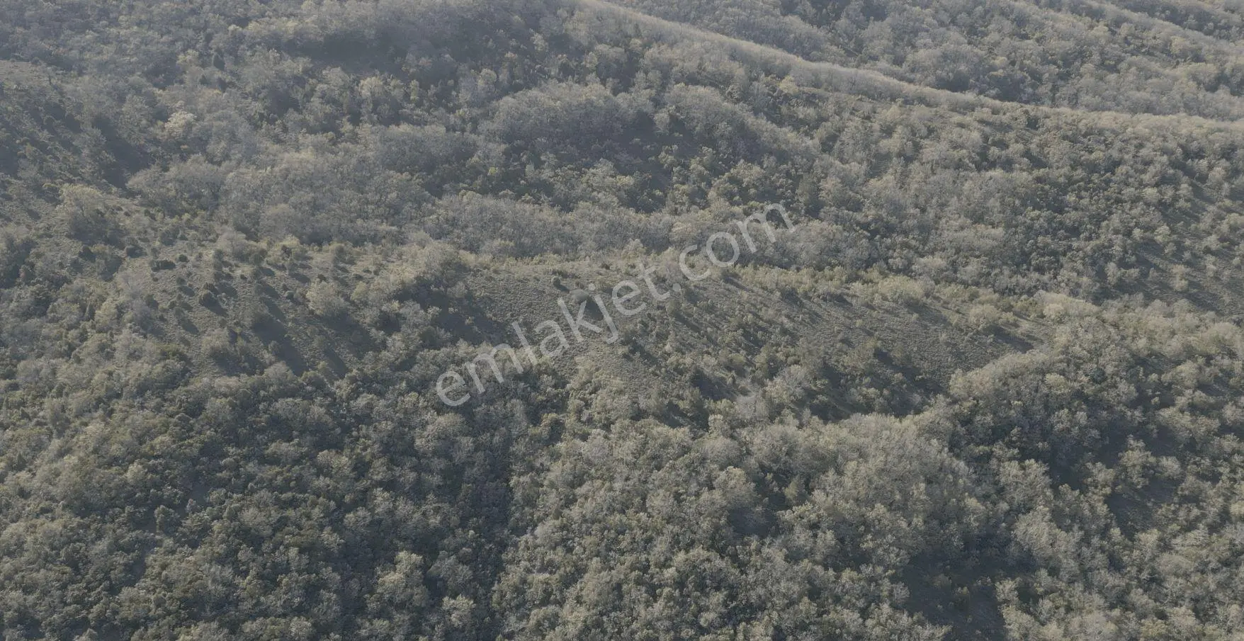 18.816 M2 Satılık Tarla Keşif Arazi. Balaıeksir Balya Çukurcak 103 Ada 27 Parselde. Orman İçinde, Dü — fotoğraf 35