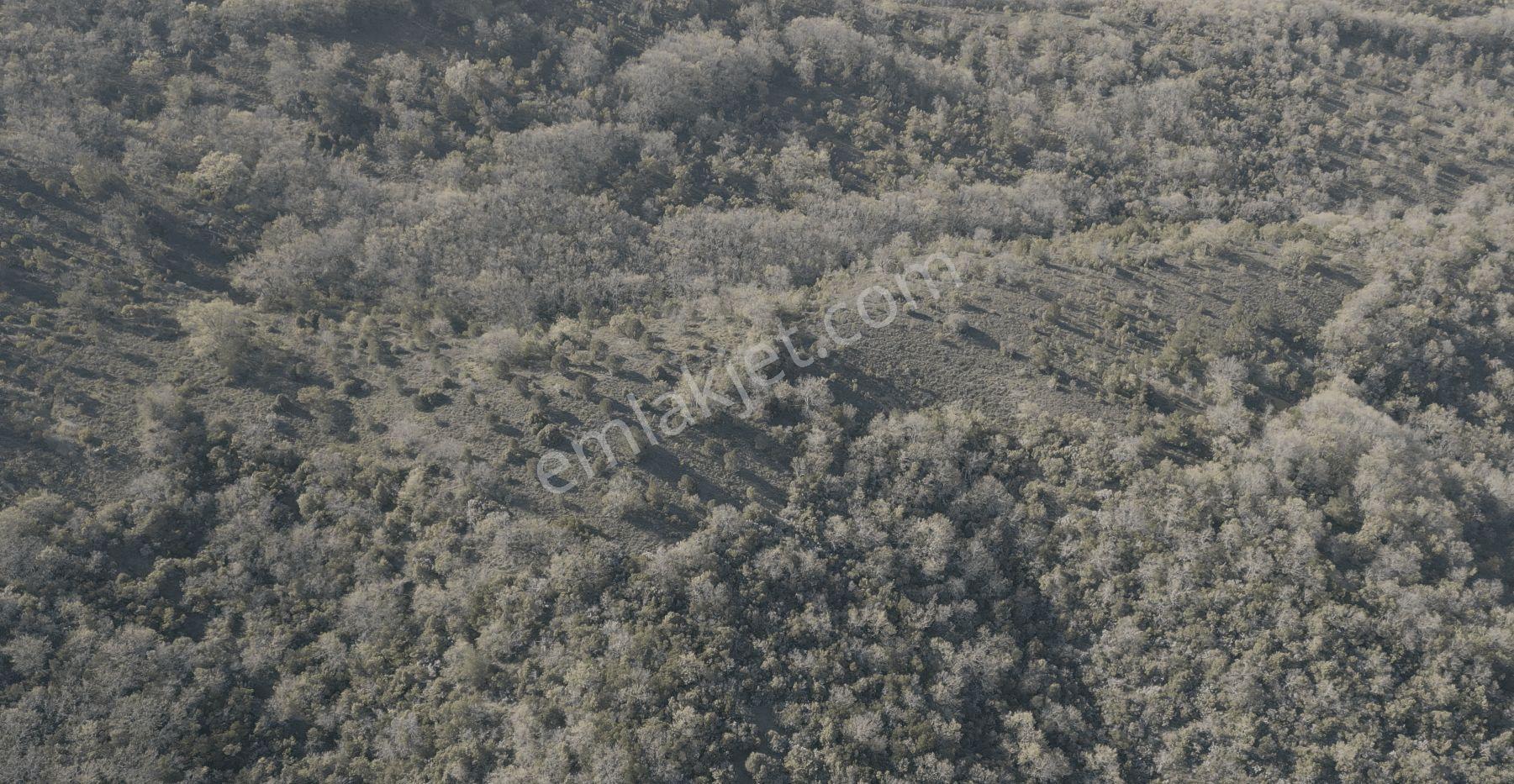 18.816 M2 Satılık Tarla Keşif Arazi. Balaıeksir Balya Çukurcak 103 Ada 27 Parselde. Orman İçinde, Dü — fotoğraf 36