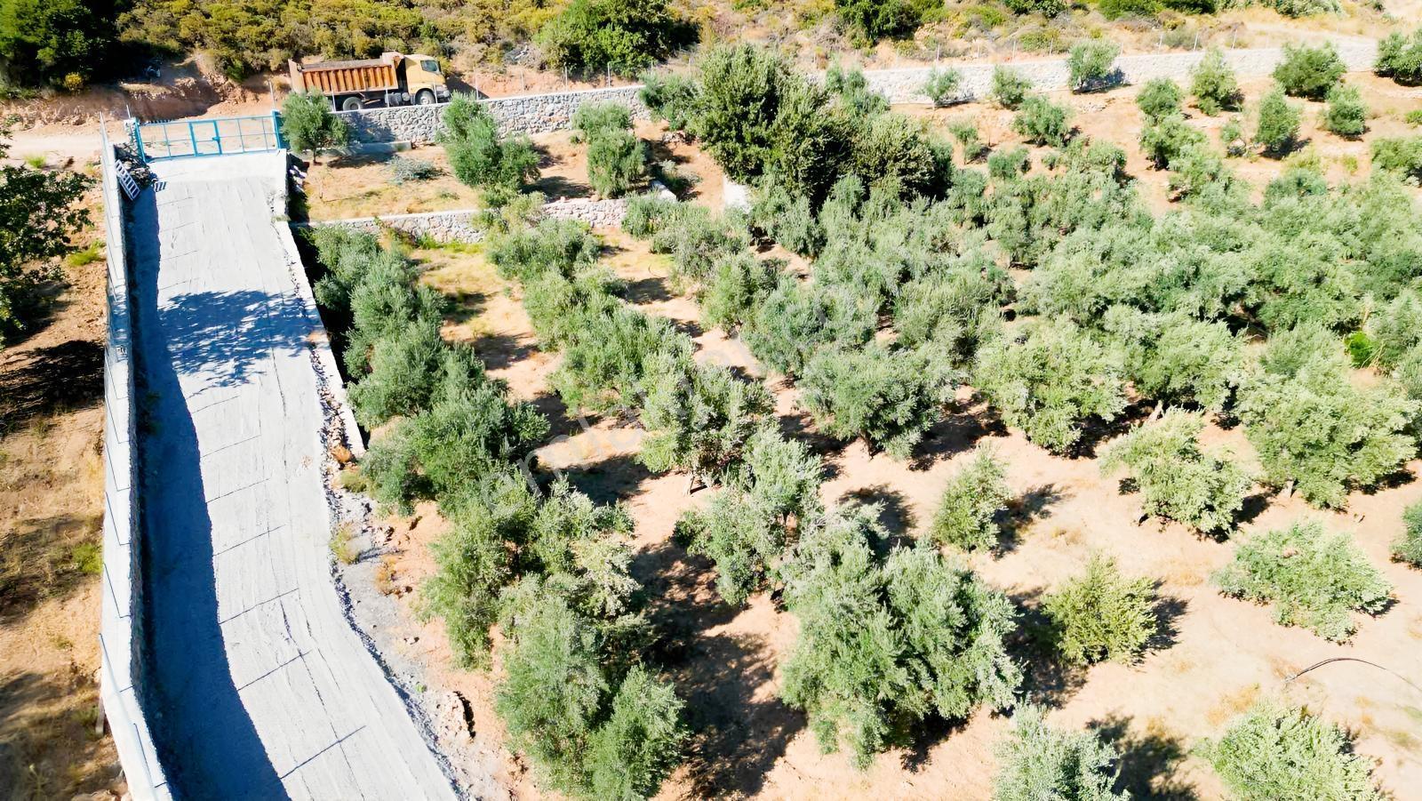 Startkey Pelit İmar Sınırına Yakın 88 M Yol Cepheli Tarla — fotoğraf 3