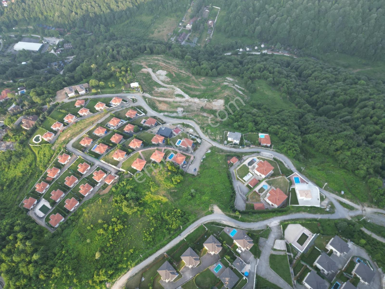 Turyap'tan Sapanca Dibektaşta Kartal Yuvasını Sizin İçin Ayırdık — fotoğraf 2
