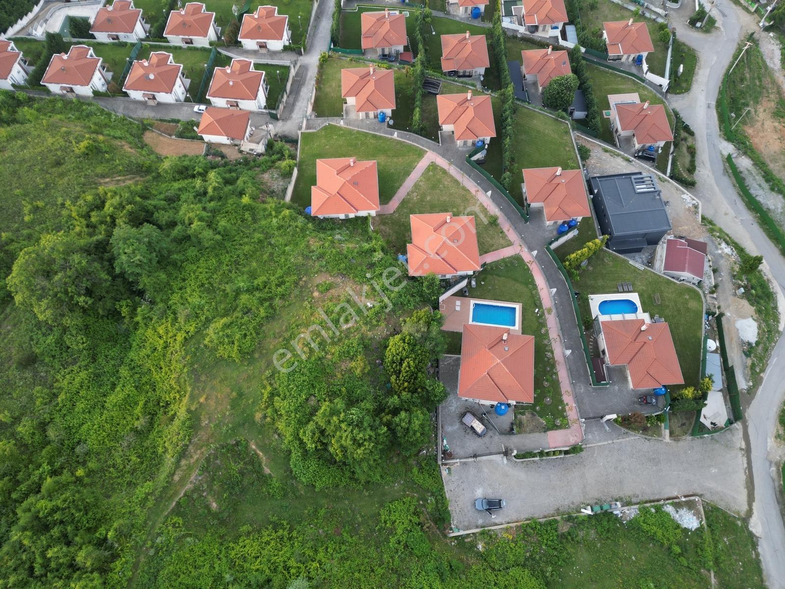 Turyap'tan Sapanca Dibektaşta Kartal Yuvasını Sizin İçin Ayırdık — fotoğraf 3