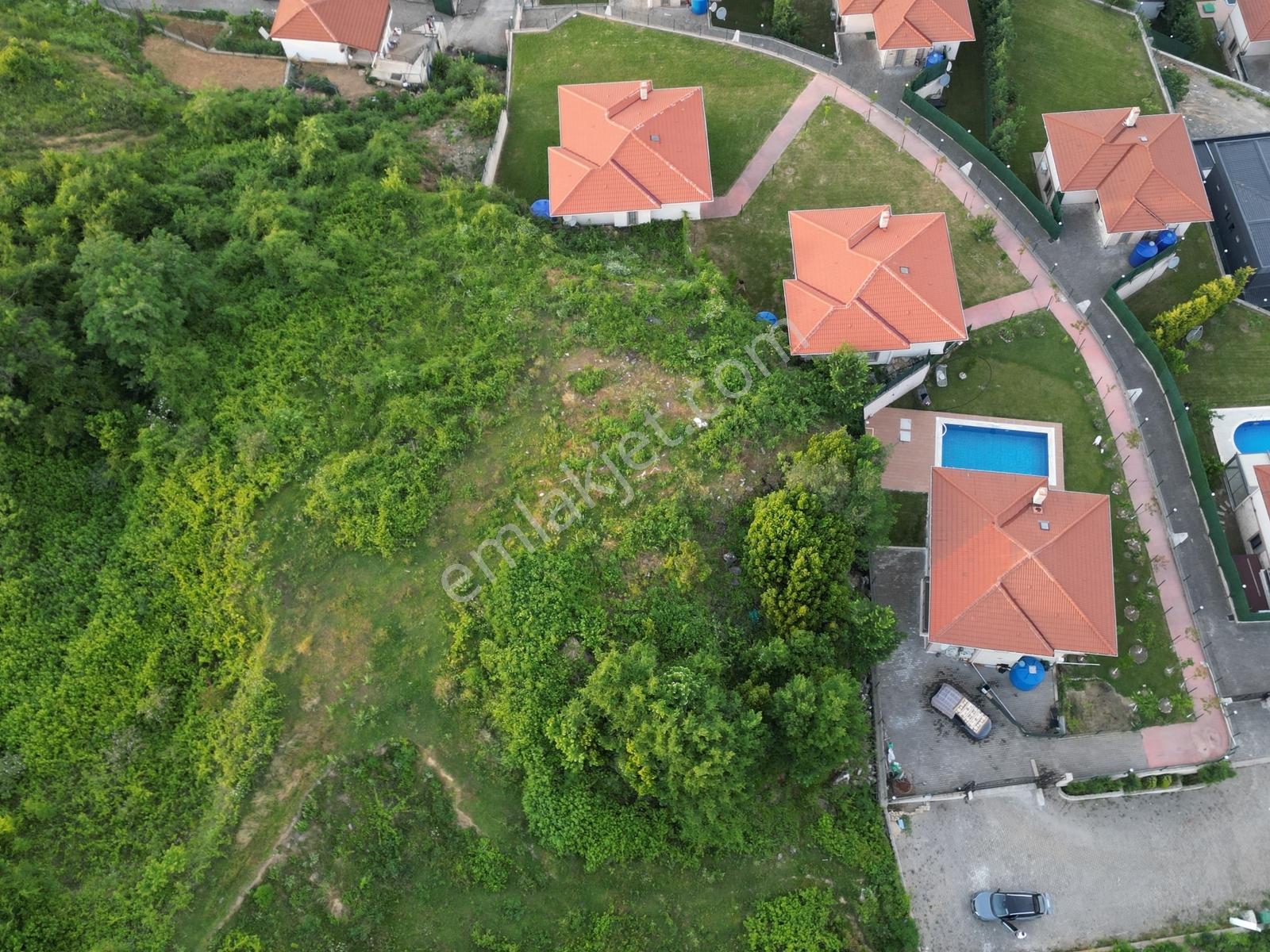 Turyap'tan Sapanca Dibektaşta Kartal Yuvasını Sizin İçin Ayırdık — fotoğraf 4