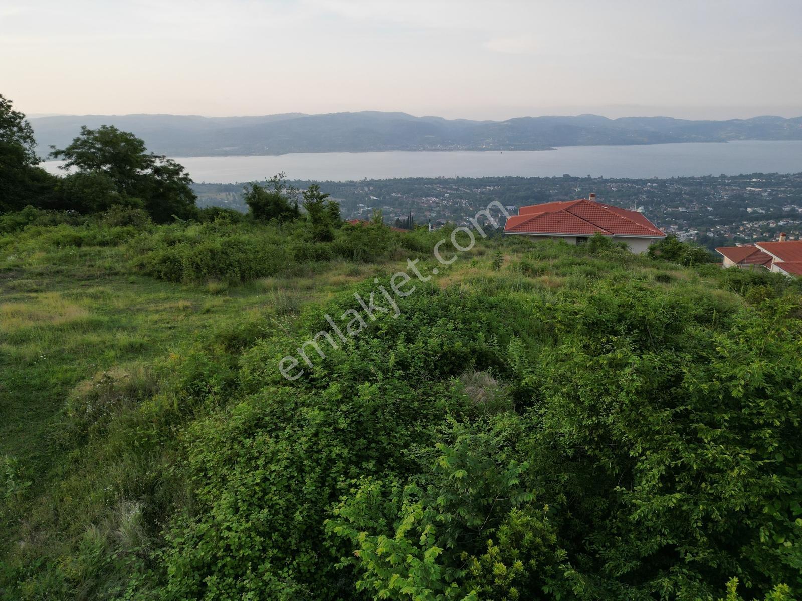 Turyap'tan Sapanca Dibektaşta Kartal Yuvasını Sizin İçin Ayırdık — fotoğraf 5