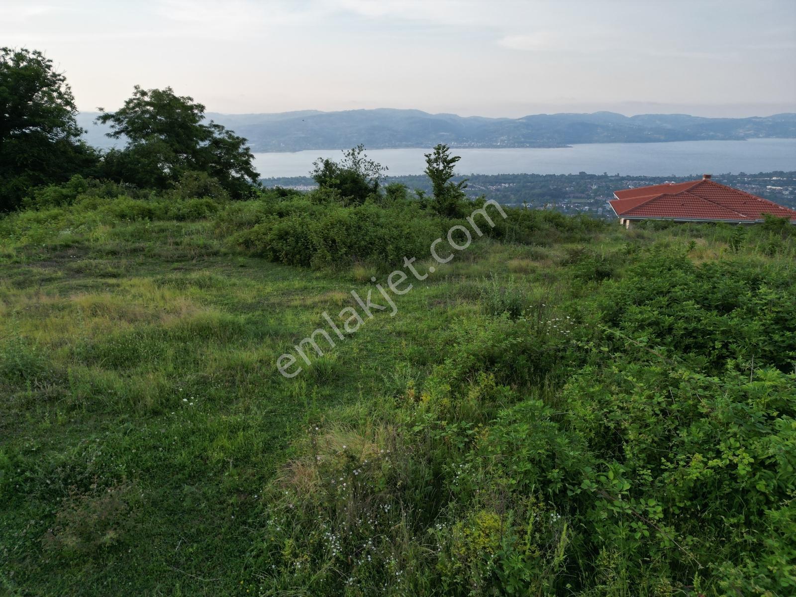 Turyap'tan Sapanca Dibektaşta Kartal Yuvasını Sizin İçin Ayırdık — fotoğraf 6