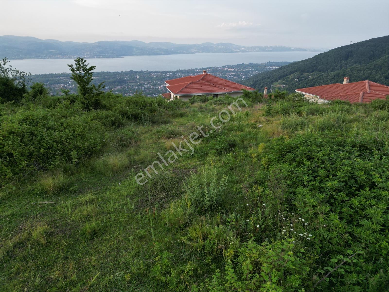 Turyap'tan Sapanca Dibektaşta Kartal Yuvasını Sizin İçin Ayırdık — fotoğraf 7