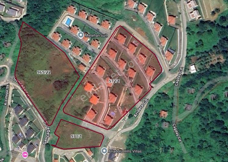 Turyap'tan Sapanca Dibektaşta Kartal Yuvasını Sizin İçin Ayırdık — fotoğraf 11