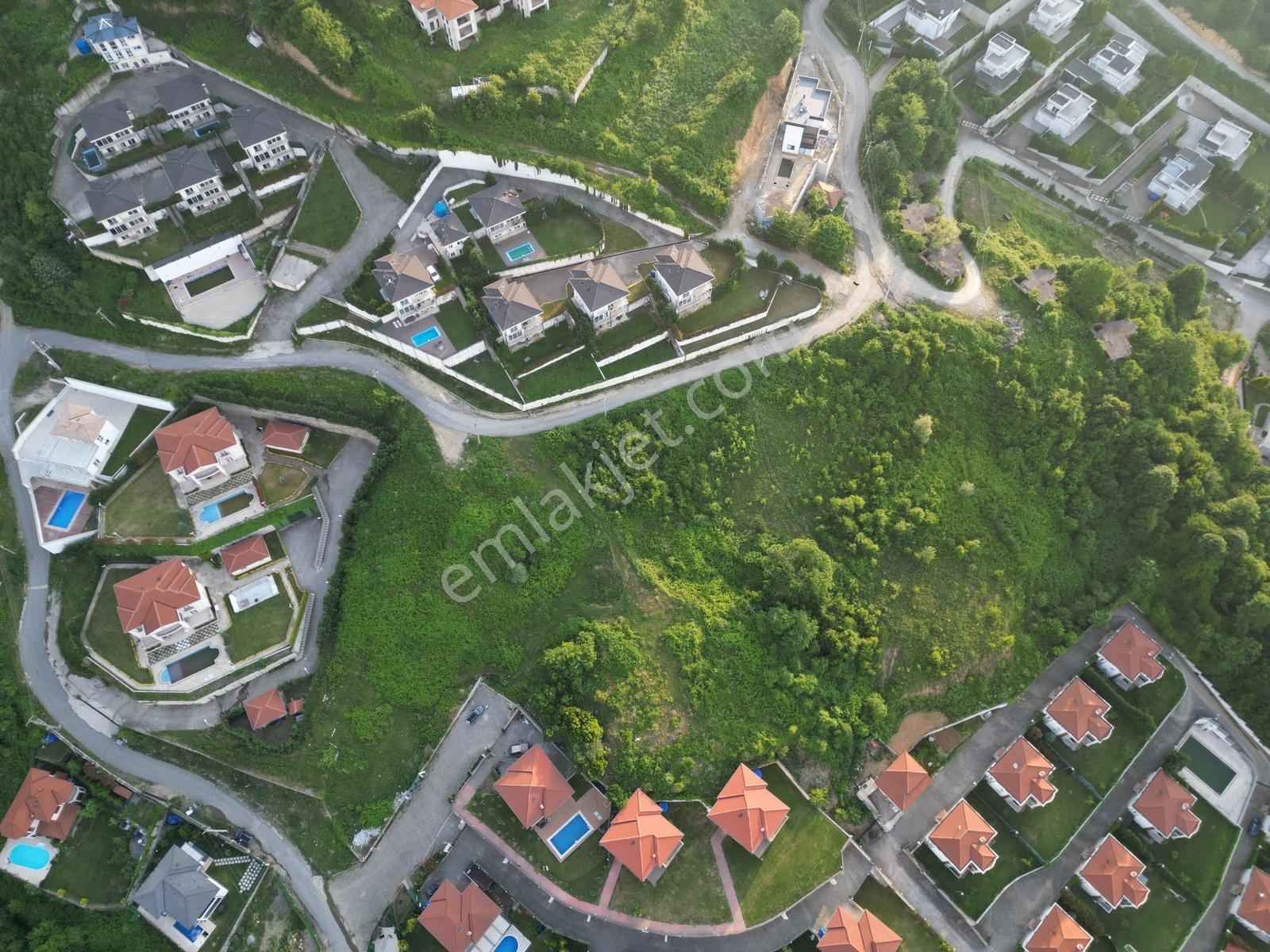 Turyap'tan Sapanca Dibektaşta Kartal Yuvasını Sizin İçin Ayırdık — fotoğraf 16