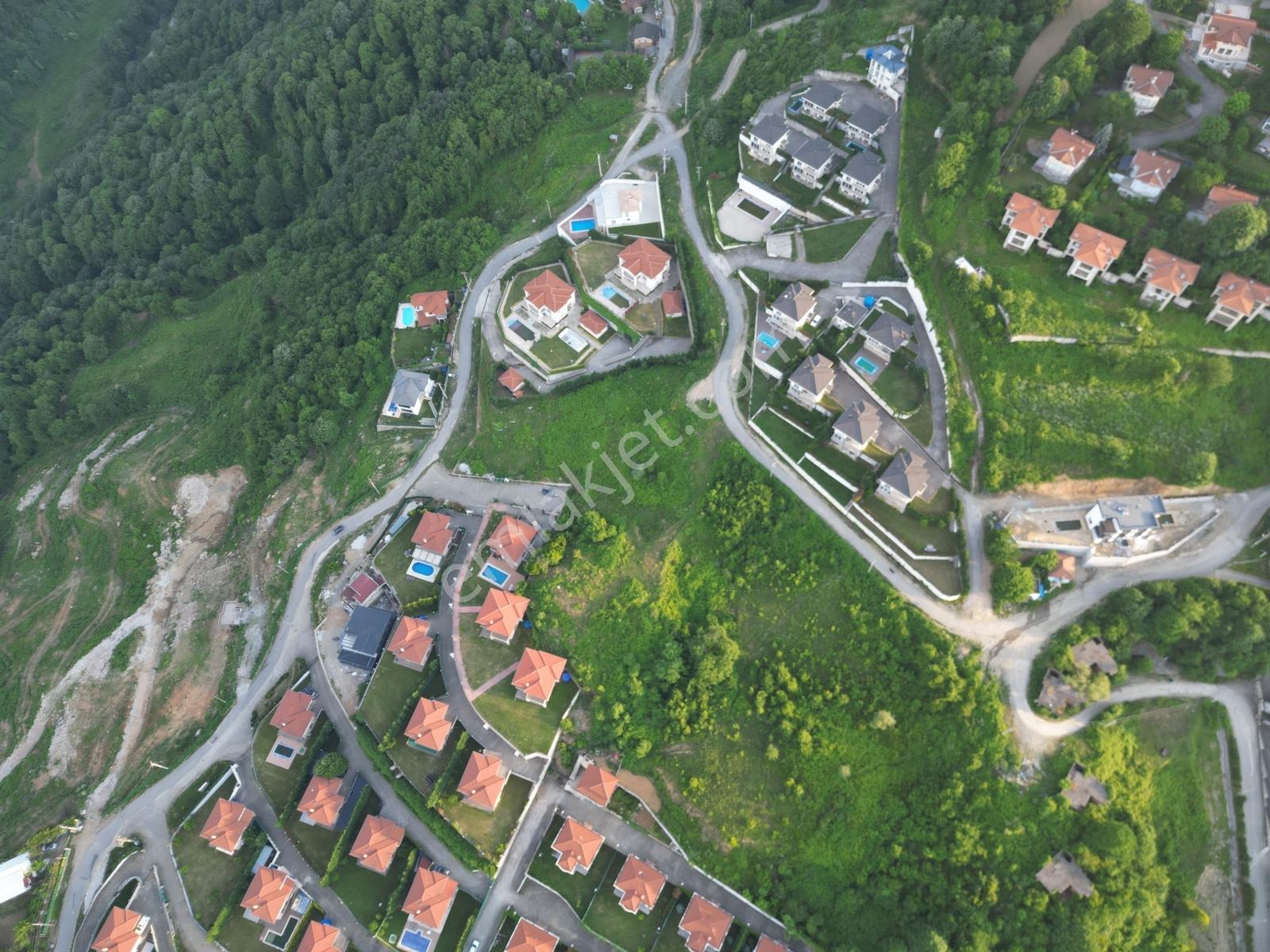 Turyap'tan Sapanca Dibektaşta Kartal Yuvasını Sizin İçin Ayırdık — fotoğraf 20