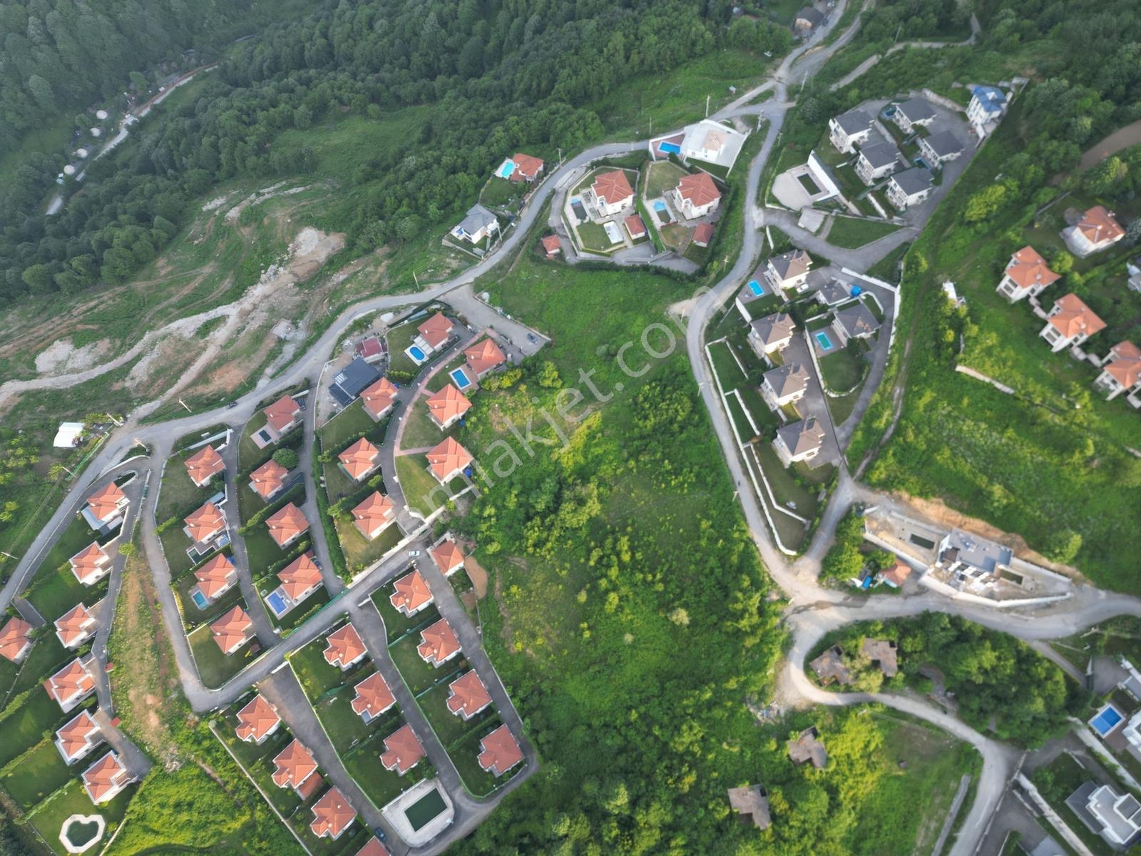 Turyap'tan Sapanca Dibektaşta Kartal Yuvasını Sizin İçin Ayırdık — fotoğraf 21