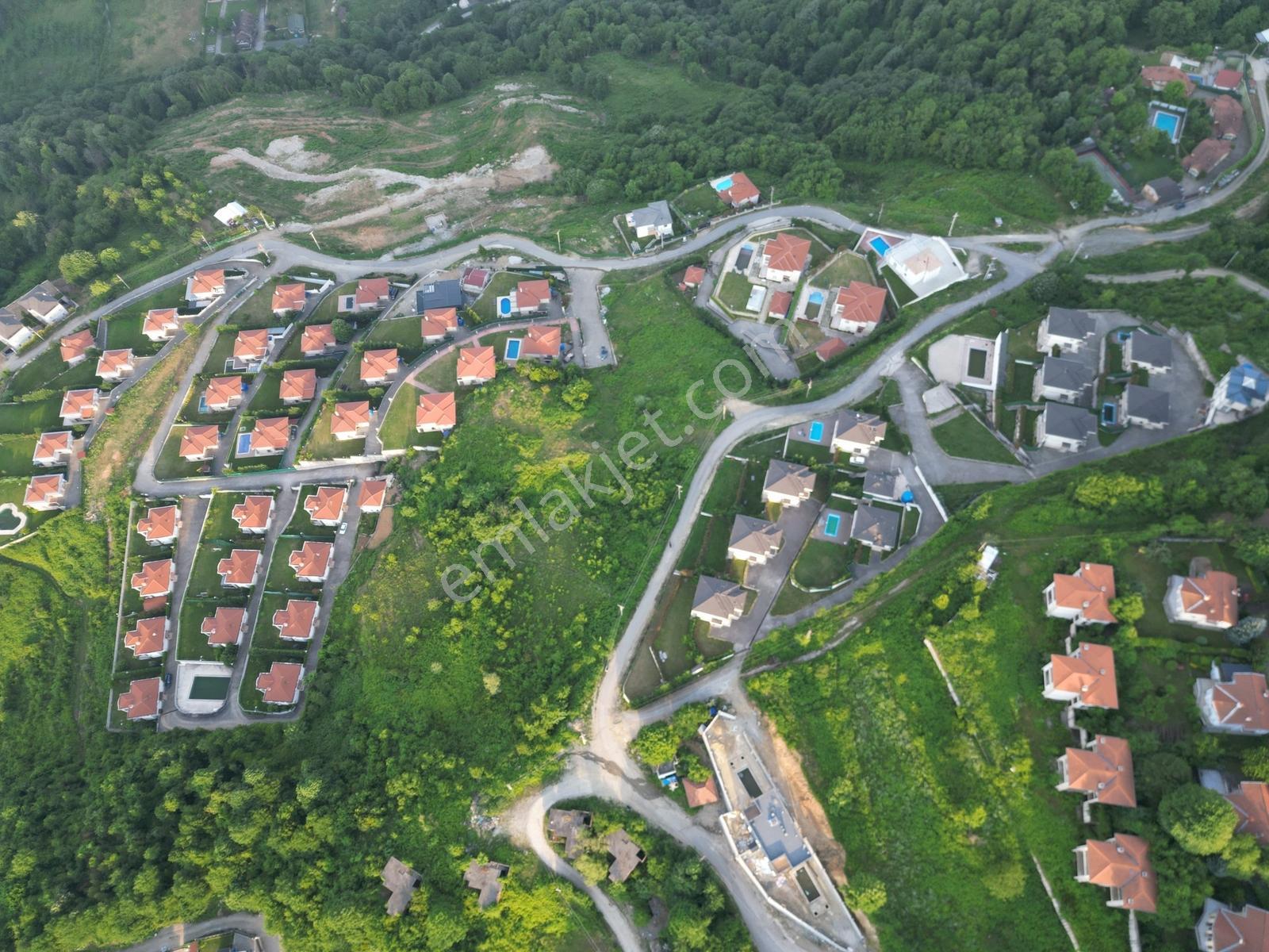 Turyap'tan Sapanca Dibektaşta Kartal Yuvasını Sizin İçin Ayırdık — fotoğraf 22