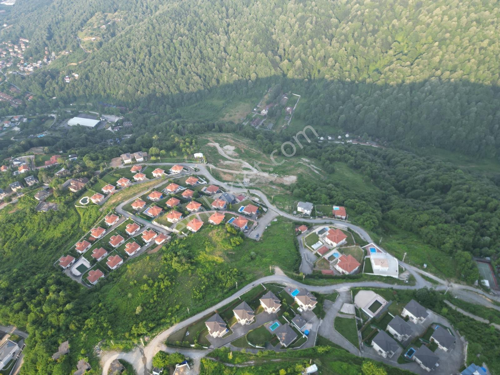 Turyap'tan Sapanca Dibektaşta Kartal Yuvasını Sizin İçin Ayırdık — fotoğraf 23