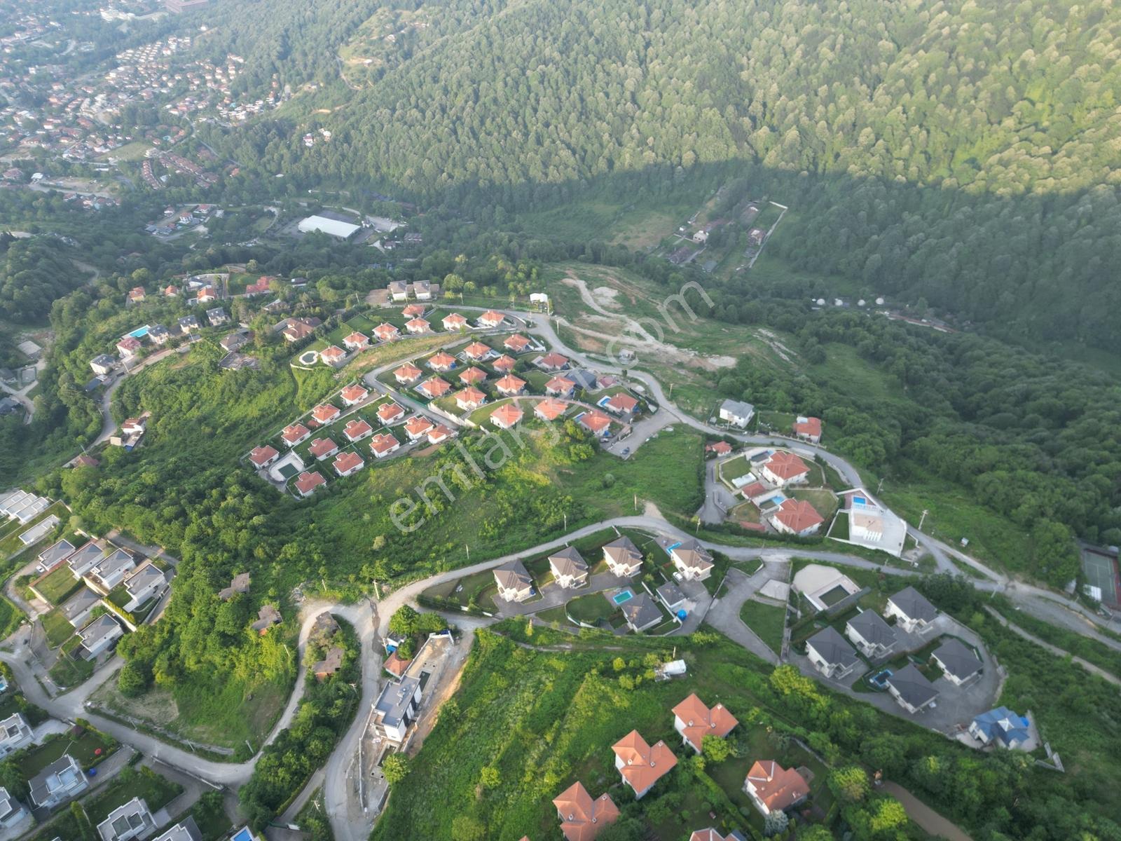 Turyap'tan Sapanca Dibektaşta Kartal Yuvasını Sizin İçin Ayırdık — fotoğraf 24