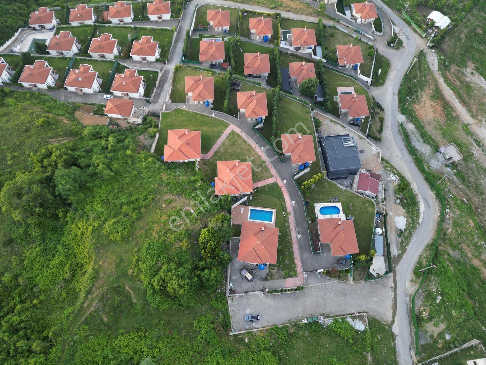 Turyap'tan Sapanca Dibektaşta Kartal Yuvasını Sizin İçin Ayırdık — fotoğraf 25