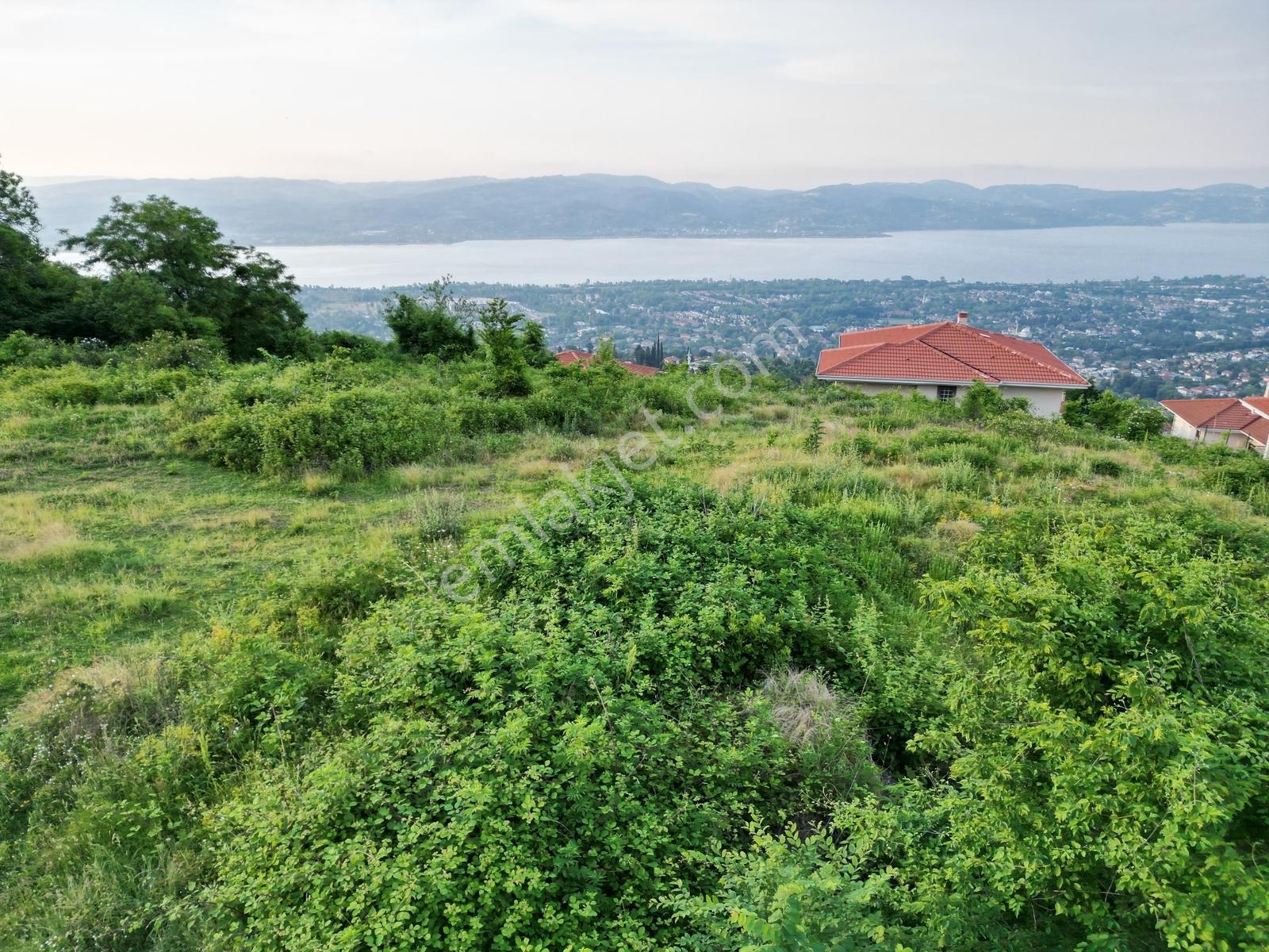 Turyap'tan Sapanca Dibektaşta Kartal Yuvasını Sizin İçin Ayırdık — fotoğraf 26