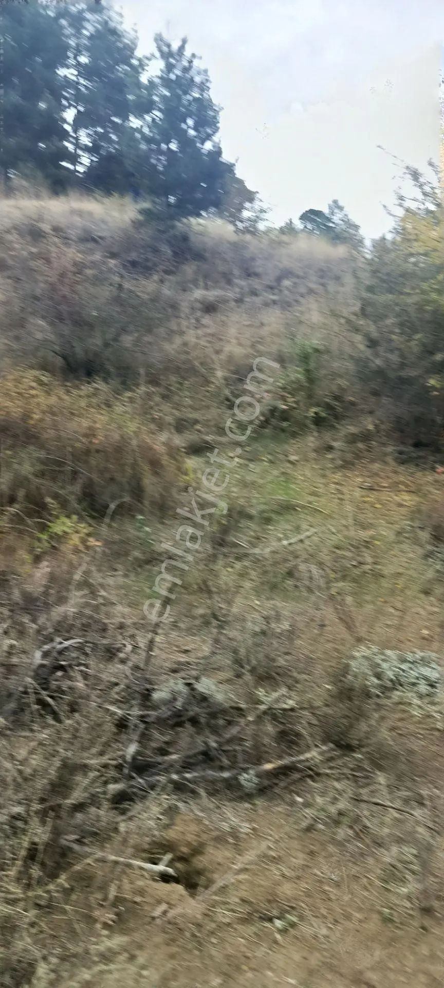 Denizli Honaz Karaçay Satılık Tarla — fotoğraf 4