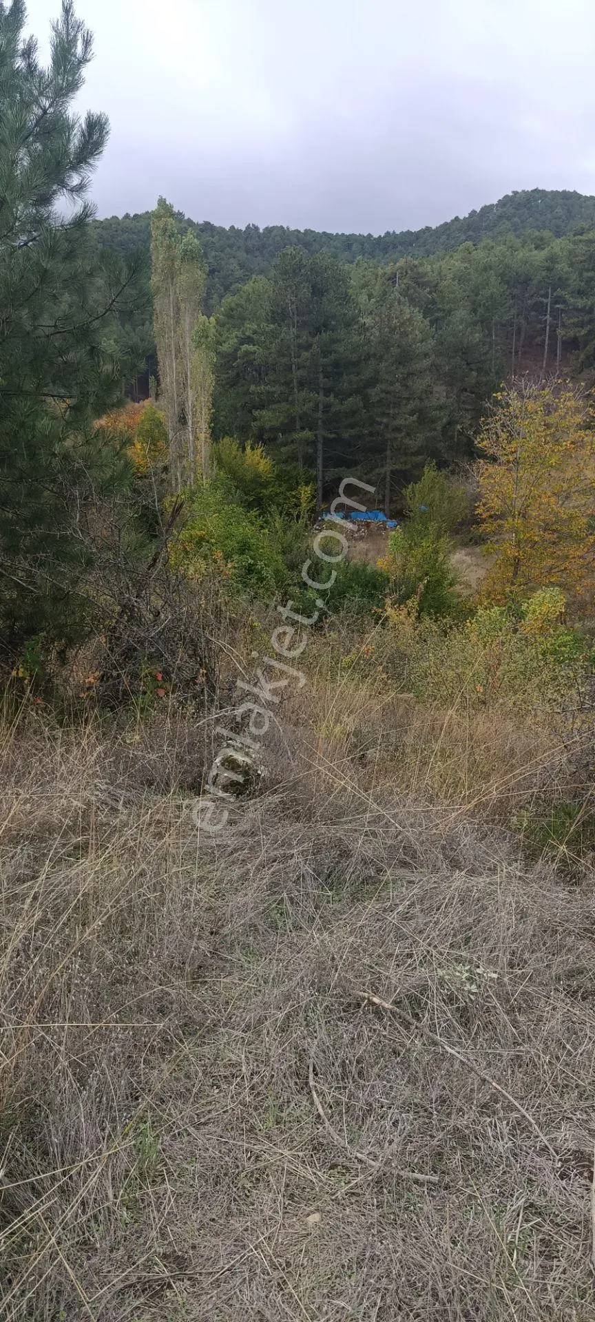 Denizli Honaz Karaçay Satılık Tarla — fotoğraf 8