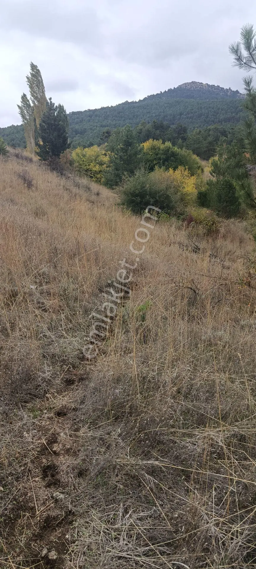 Denizli Honaz Karaçay Satılık Tarla — fotoğraf 9