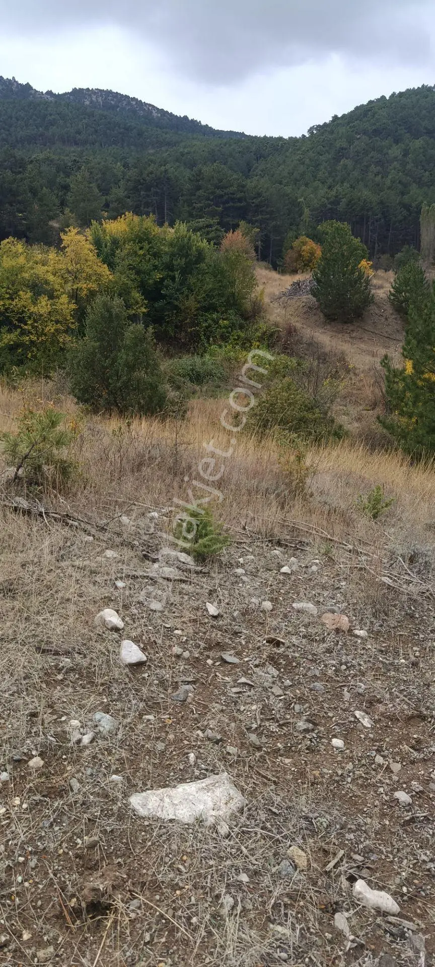 Denizli Honaz Karaçay Satılık Tarla — fotoğraf 16