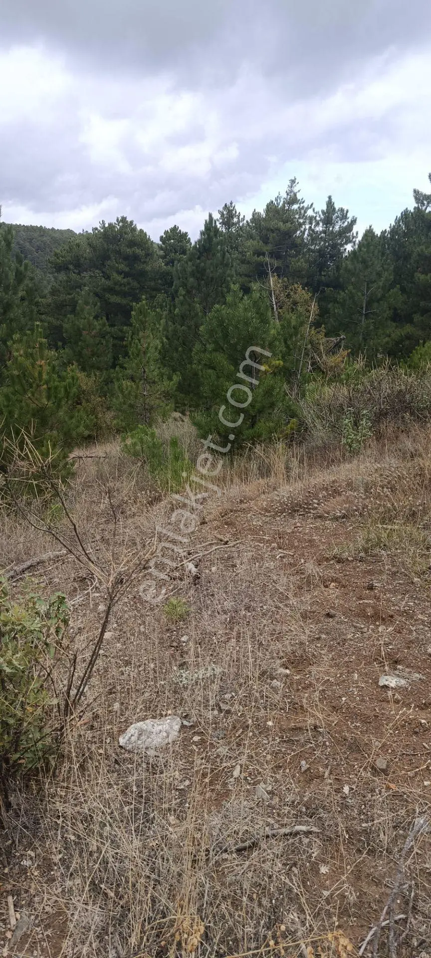 Denizli Honaz Karaçay Satılık Tarla — fotoğraf 17