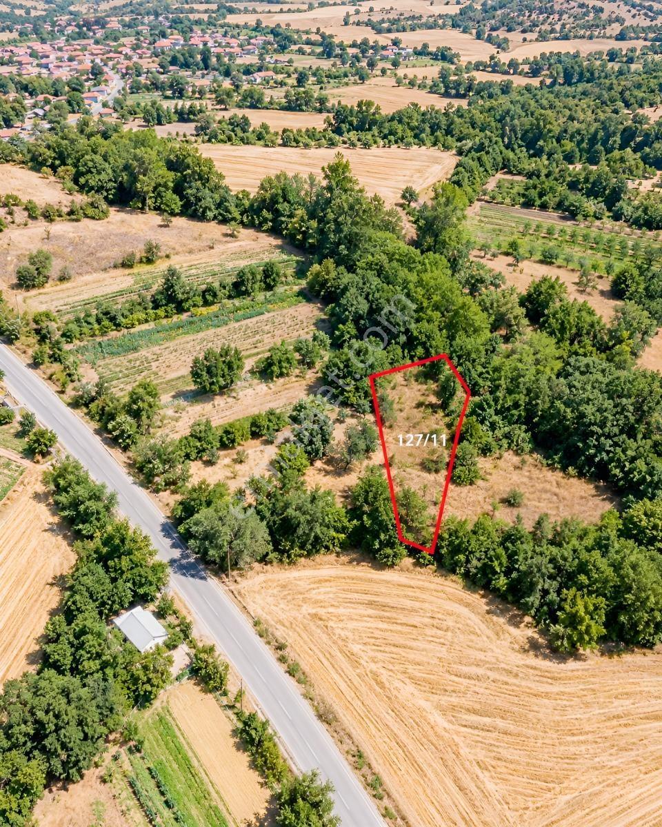 Seydişehir'De Asfalt Kenarı, Yerleşim Dibi Bahçe