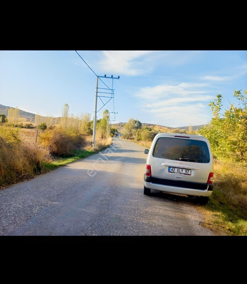 Seydişehir'de Asfalt Kenarı, Yerleşim Dibi Bahçe — fotoğraf 3