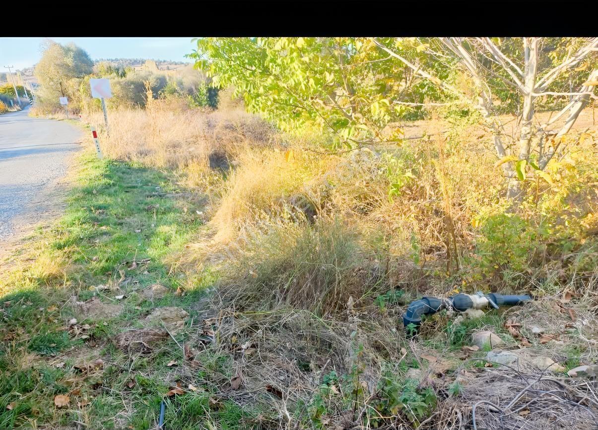 Seydişehir'de Asfalt Kenarı, Yerleşim Dibi Bahçe — fotoğraf 7
