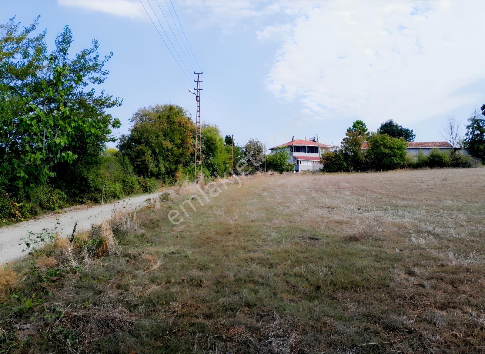 Seguptan Bafra Keliklerde Villa Yapımı İçin Uygun Tarla(16) — fotoğraf 2