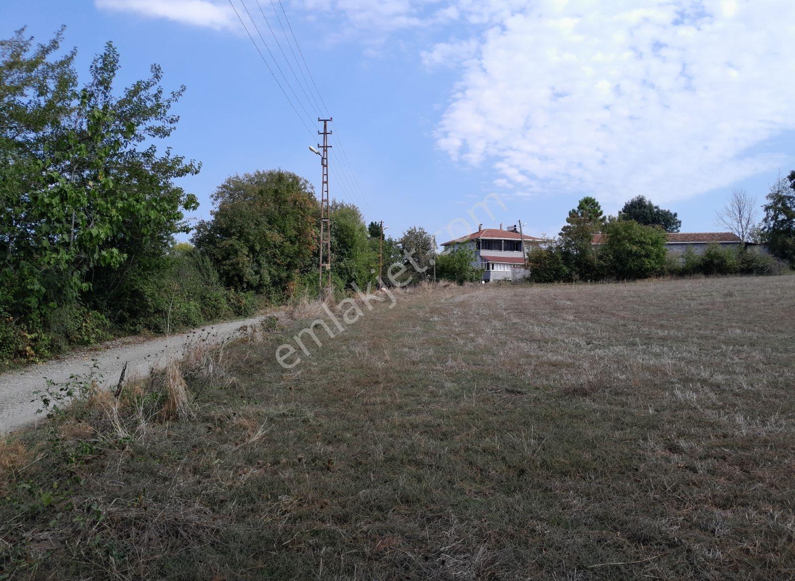 Seguptan Bafra Keliklerde Villa Yapımı İçin Uygun Tarla(16) — fotoğraf 3