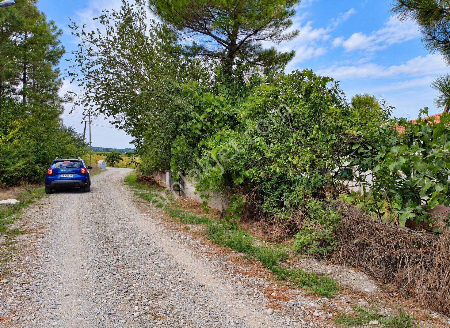 Seguptan Bafra Keliklerde Villa Yapımı İçin Uygun Tarla(16) — fotoğraf 8