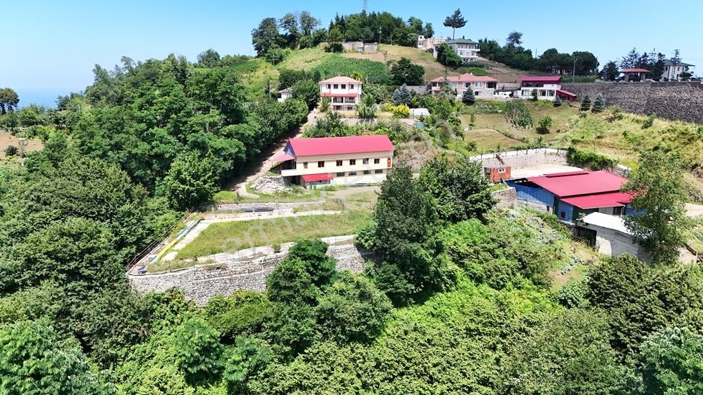 Çarşıbaşı Fener Mahallesinde Satılık Tripleks Villa — fotoğraf 21