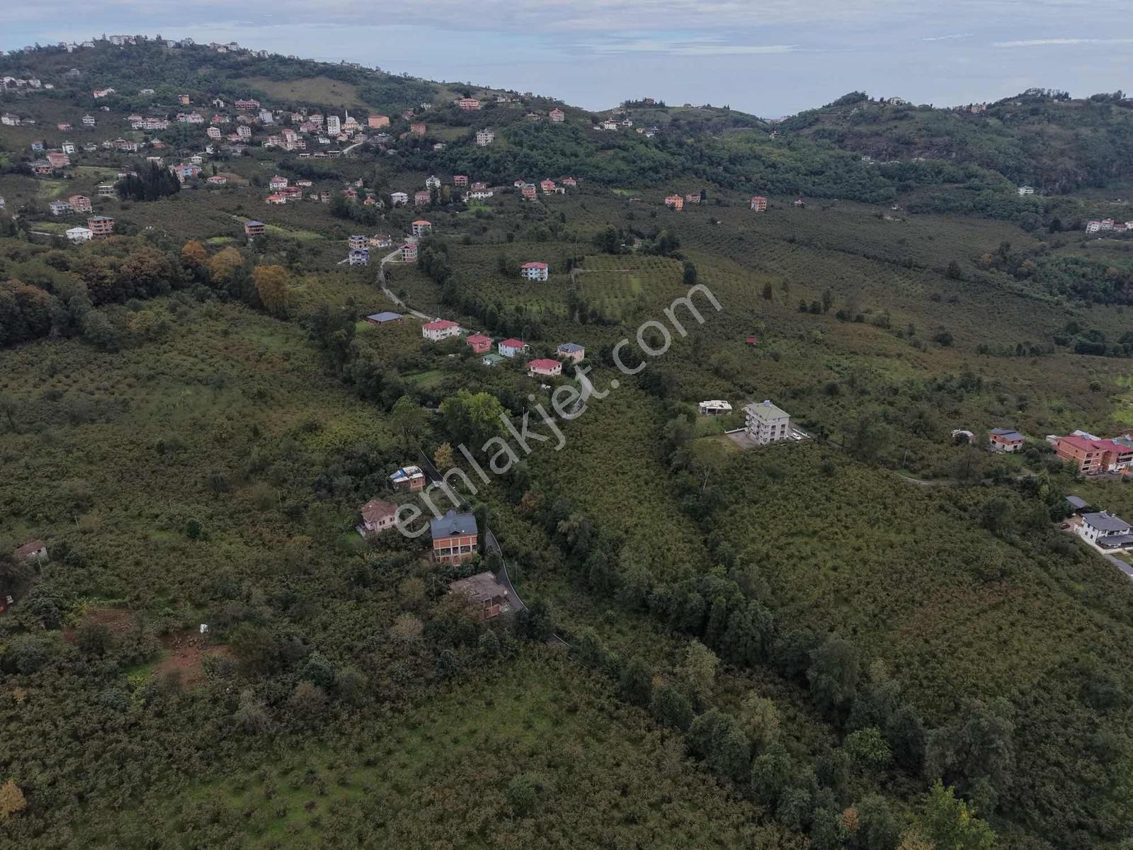 Vip Gayrimenkul'den Fırsat Gölçayırda Bölünebilir Arsa 2258m2 — fotoğraf 2