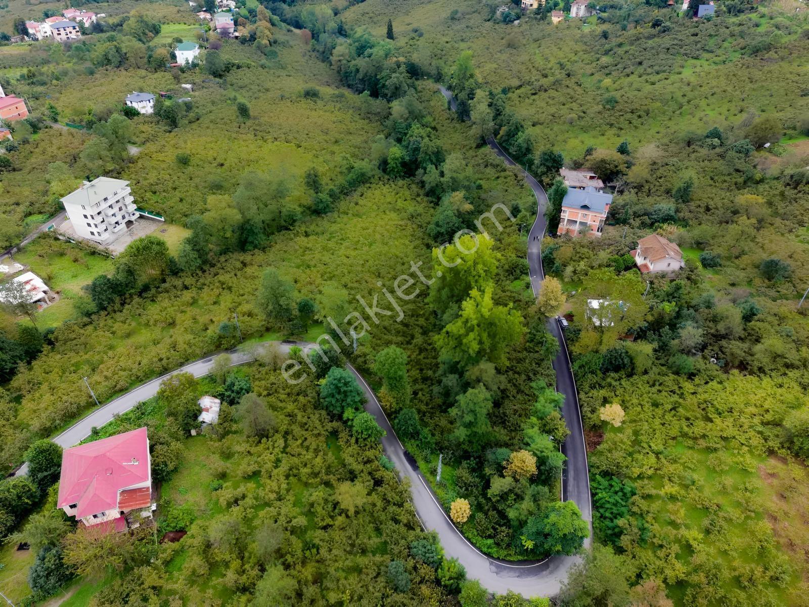 Vip Gayrimenkul'den Fırsat Gölçayırda Bölünebilir Arsa 2258m2 — fotoğraf 3