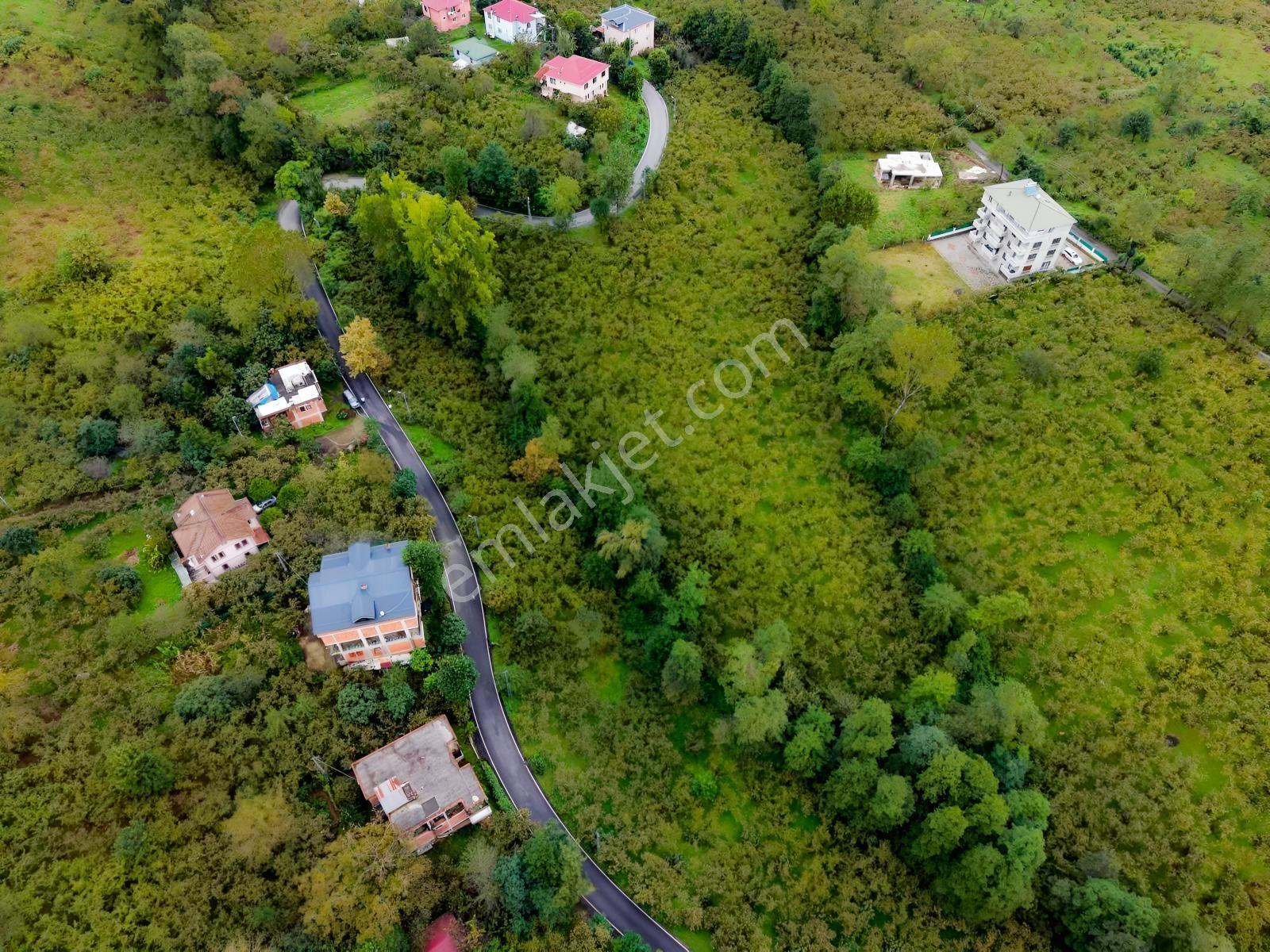 Vip Gayrimenkul'den Fırsat Gölçayırda Bölünebilir Arsa 2258m2 — fotoğraf 4