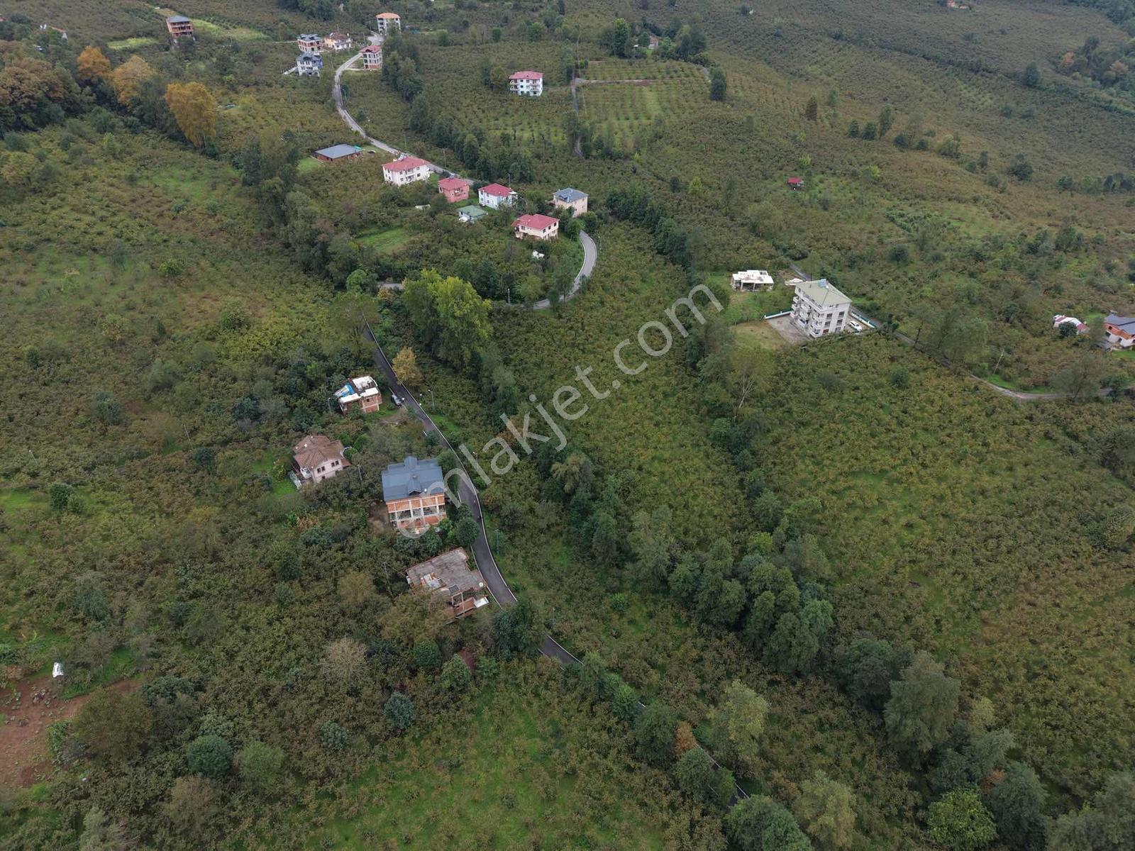 Vip Gayrimenkul'den Fırsat Gölçayırda Bölünebilir Arsa 2258m2 — fotoğraf 5