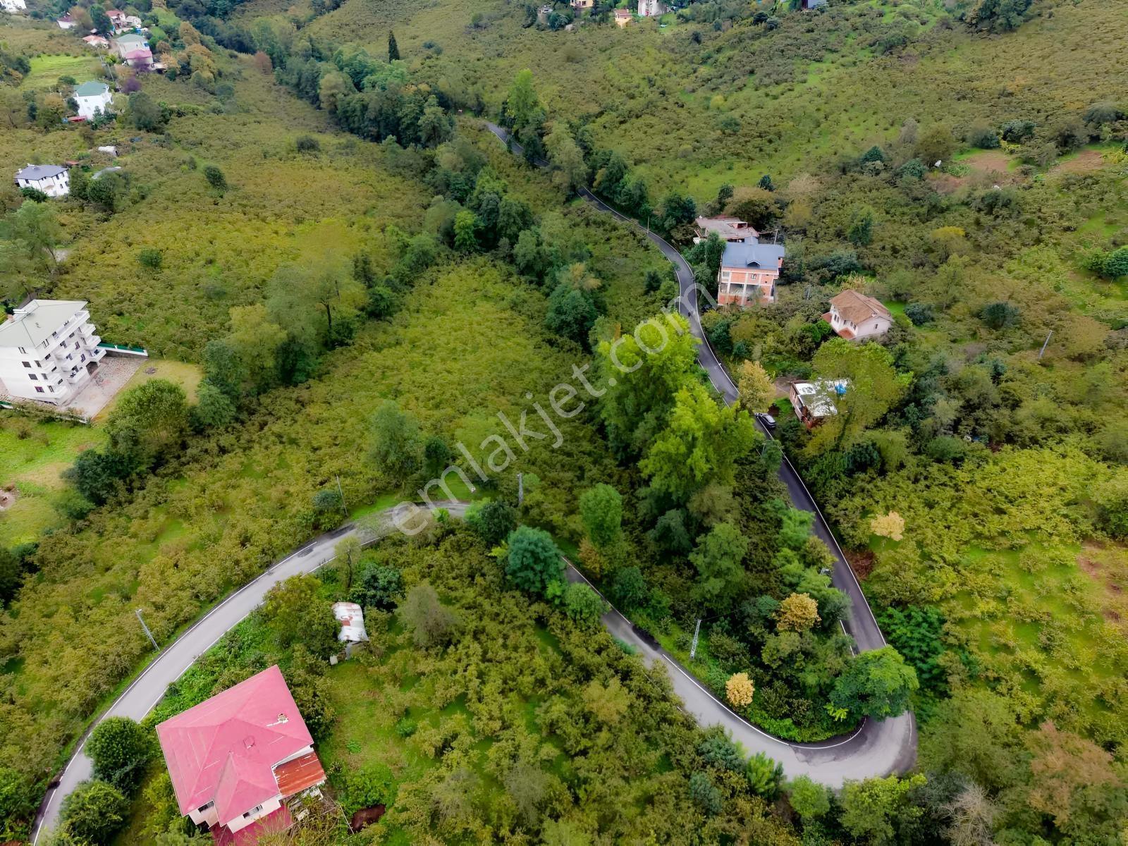 Vip Gayrimenkul'den Fırsat Gölçayırda Bölünebilir Arsa 2258m2 — fotoğraf 6