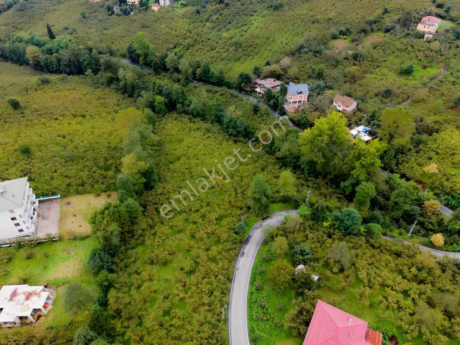 Vip Gayrimenkul'den Fırsat Gölçayırda Bölünebilir Arsa 2258m2 — fotoğraf 9