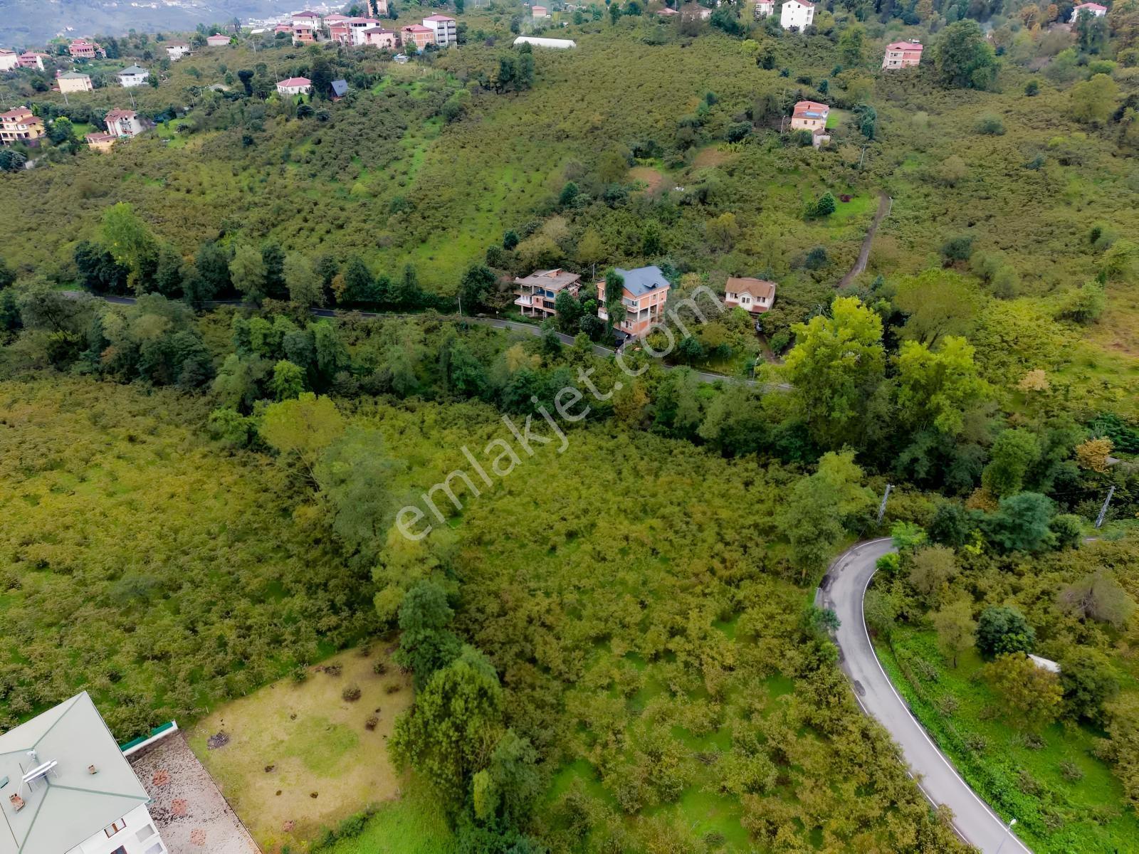 Vip Gayrimenkul'den Fırsat Gölçayırda Bölünebilir Arsa 2258m2 — fotoğraf 11