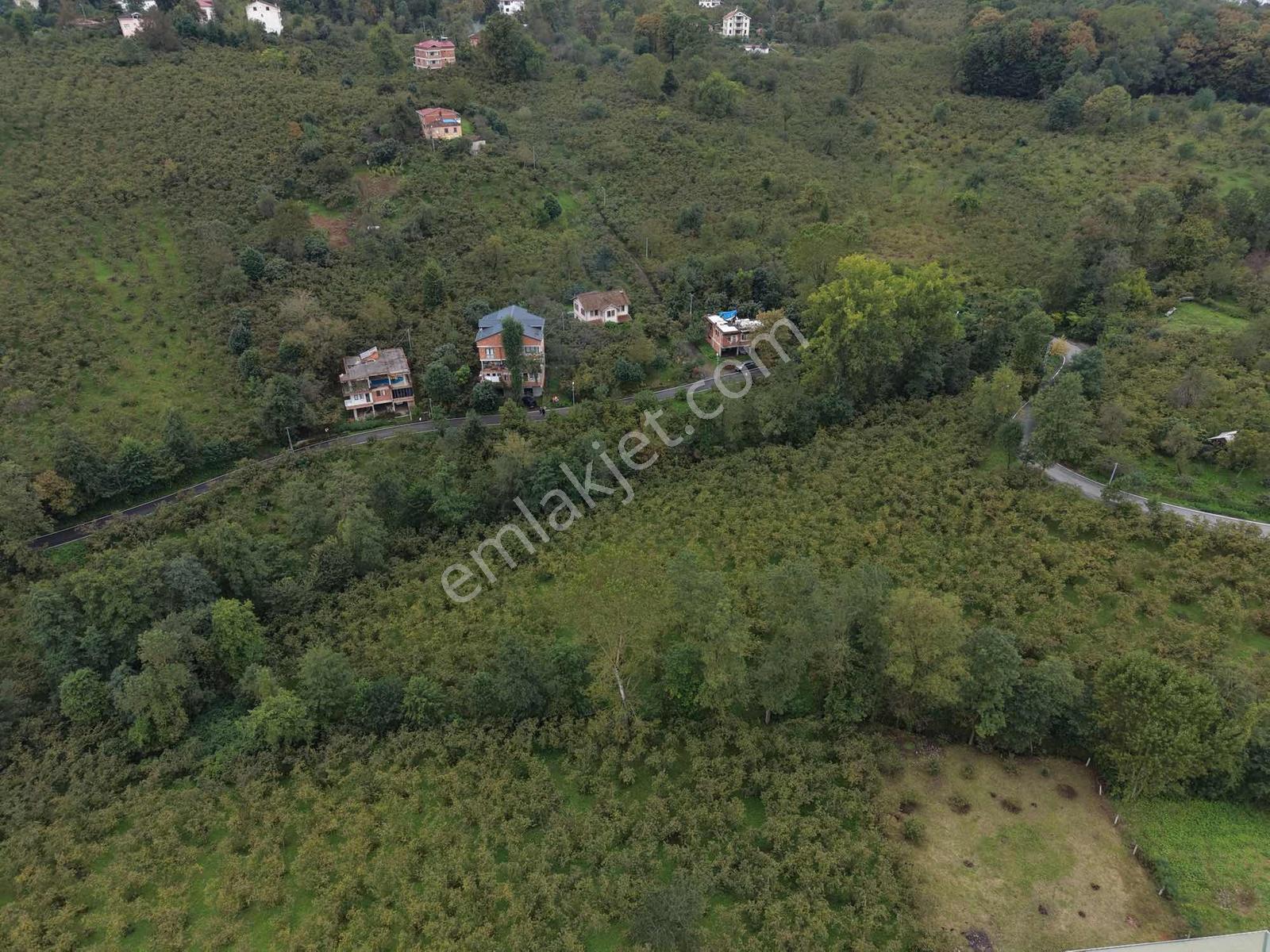 Vip Gayrimenkul'den Fırsat Gölçayırda Bölünebilir Arsa 2258m2 — fotoğraf 14