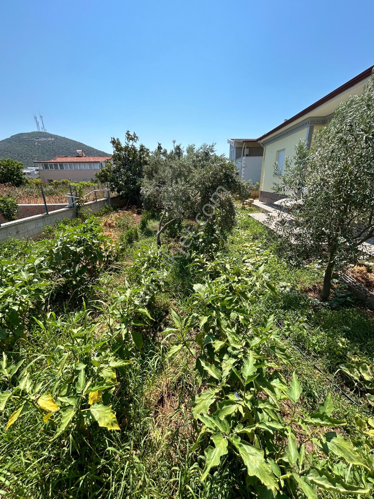 Didimde Tek Katlı Villa — fotoğraf 10